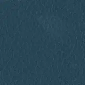 Deep teal textured surface with mottled organic pattern, displaying subtle tonal variations and a dense interwoven visual structure.